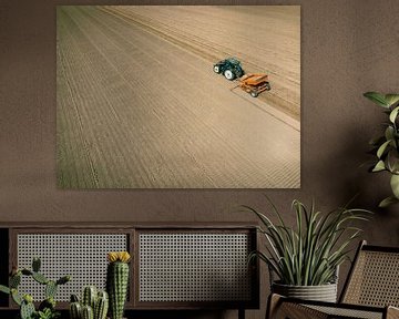 Tractor planting potato seeldings in  the soil during springtim by Sjoerd van der Wal
