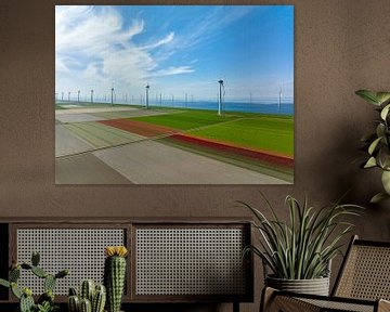 Tulpen in landbouwvelden met windturbines op de achtergrond van Sjoerd van der Wal Fotografie