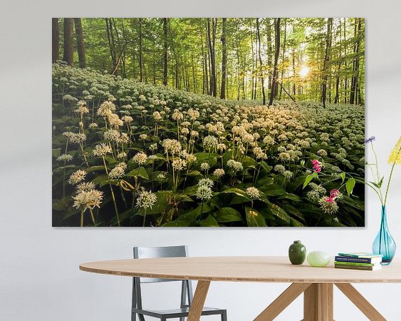 Aperçu de la chambre