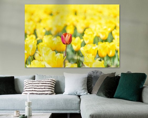 Voorbeeld van het werk in een kamer