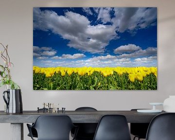 Tulpen onder een blauwe hemel met wolken van Sjoerd van der Wal Fotografie