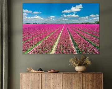 Tulpen, die im Frühling auf landwirtschaftlichen Feldern wachsen, gesehen von von Sjoerd van der Wal Fotografie