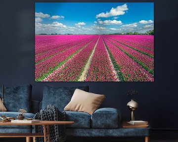 Tulpen in roze met een blauwe lucht en wat wolken erboven van Sjoerd van der Wal