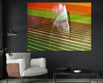 Tulpen in een veld besproeid door een landbouwsproeier van Sjoerd van der Wal