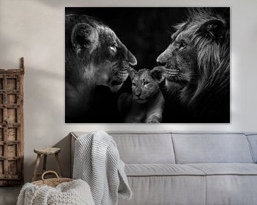 Famille de lions avec un petit