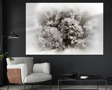 Cherry Blossom Romantic Vintage Black White by marlika art