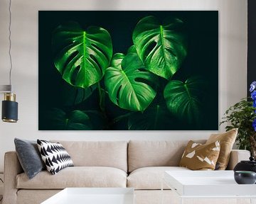 Monstera Deliciosa von marlika art