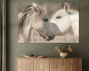 White horses van Lilian Heijmans