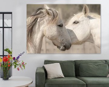 white horses sur Lilian Heijmans