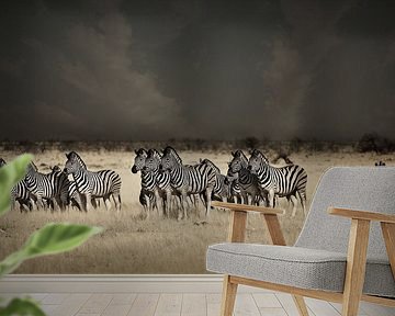 Zebras under the storm by Catalina Morales Gonzalez
