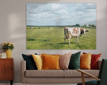 Koe in weiland | Hollands landschap | groen en blauw van Wandeldingen