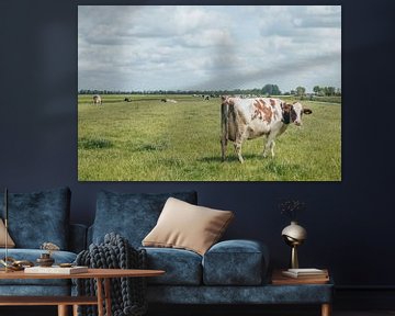 Vache dans un pré | paysage néerlandais | vert et bleu