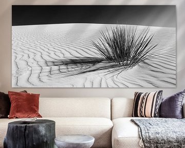 Duinen, White Sands National Monument | Panorama Monochroom van Melanie Viola