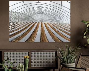 Frame of a greenhouse and fields with growing vegetables