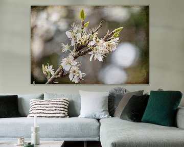 Fleurs traitées avec de l'art numérique.