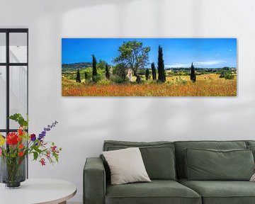Landschap met klaprozenveld op het eiland Mallorca. van Voss Fine Art Fotografie