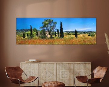 Landscape with poppy field on the island of Mallorca. by Voss Fine Art Fotografie