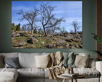 Schwedische zerklüftete Landschaft mit blauem Himmel und kahlen Bäumen von Geertjan Plooijer