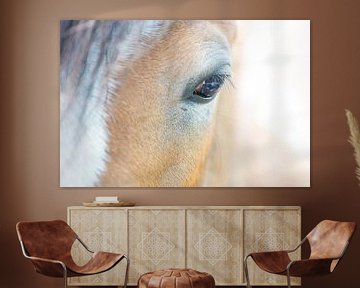 Daydreaming (detailopname van het oog van een paard) van Birgitte Bergman