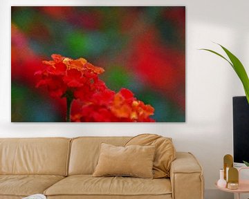 rode en oranje bloemen gemengde techniek van Werner Lehmann