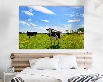 Cows in a meadow with fresh green grass and buttercup wildflower by Sjoerd van der Wal