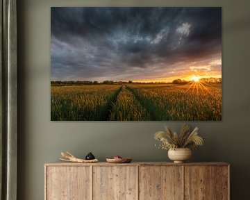 Threatening clouds over a wheat field during sunset by KB Design & Photography (Karen Brouwer)