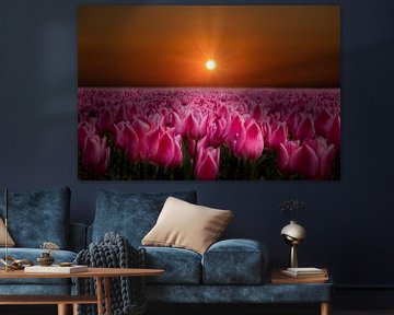 Tulip fields, Bulb fields in the Netherlands at sunset by Gert Hilbink