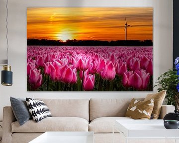 Tulpenvelden, Bollenvelden in Nederland bij zonsondergang van Gert Hilbink