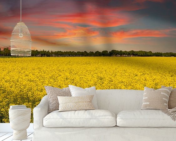 Voorbeeld van het werk in een kamer