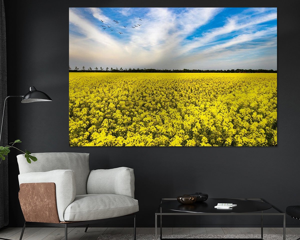 Voorbeeld van het werk in een kamer