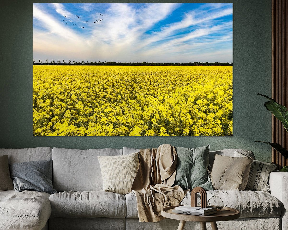 Voorbeeld van het werk in een kamer