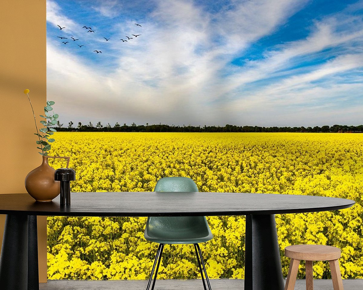 Voorbeeld van het werk in een kamer