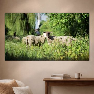 Wat ben jij aan het doen