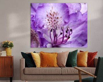 Flower: purple dream 1 von Rob Smit