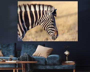 Sideways portrait of zebra in desert by Simone Janssen
