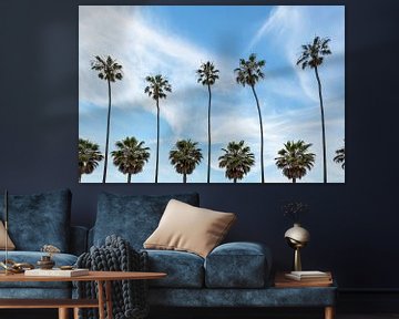 Palmbomen aan de kust van La Jolla, Californië van Melanie Viola