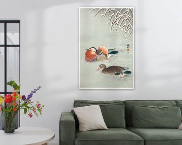 Mandarin ducks (1925 - 1936) by Ohara Koson van Studio POPPY