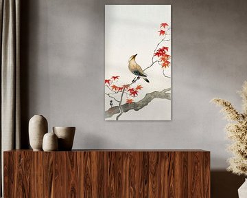 Japanese plague bird on maple (1900 - 1936) by Ohara Koson van Studio POPPY