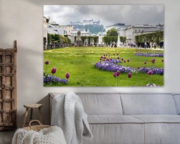 Salzburg - Blick vom Mirabellgarten zur Festung Hohensalzburg von t.ART