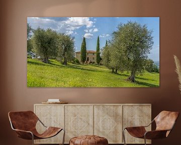 Podere Toscaberna in Seggiano Tuscany by Teun Ruijters