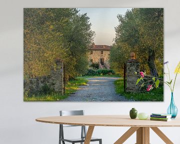 Podere Toscaberna in Seggiano Tuscany by Teun Ruijters