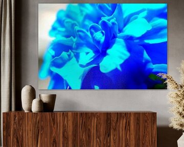 Fleur sur Daan Angevare