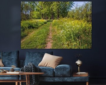 Sand path with flowering wild plants in spring by Ruud Morijn