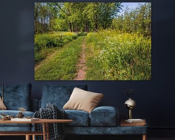 Chemin de sable avec des plantes sauvages en fleurs au printemps