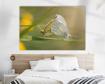 Parende witte vlinders van Jolanda Aalbers