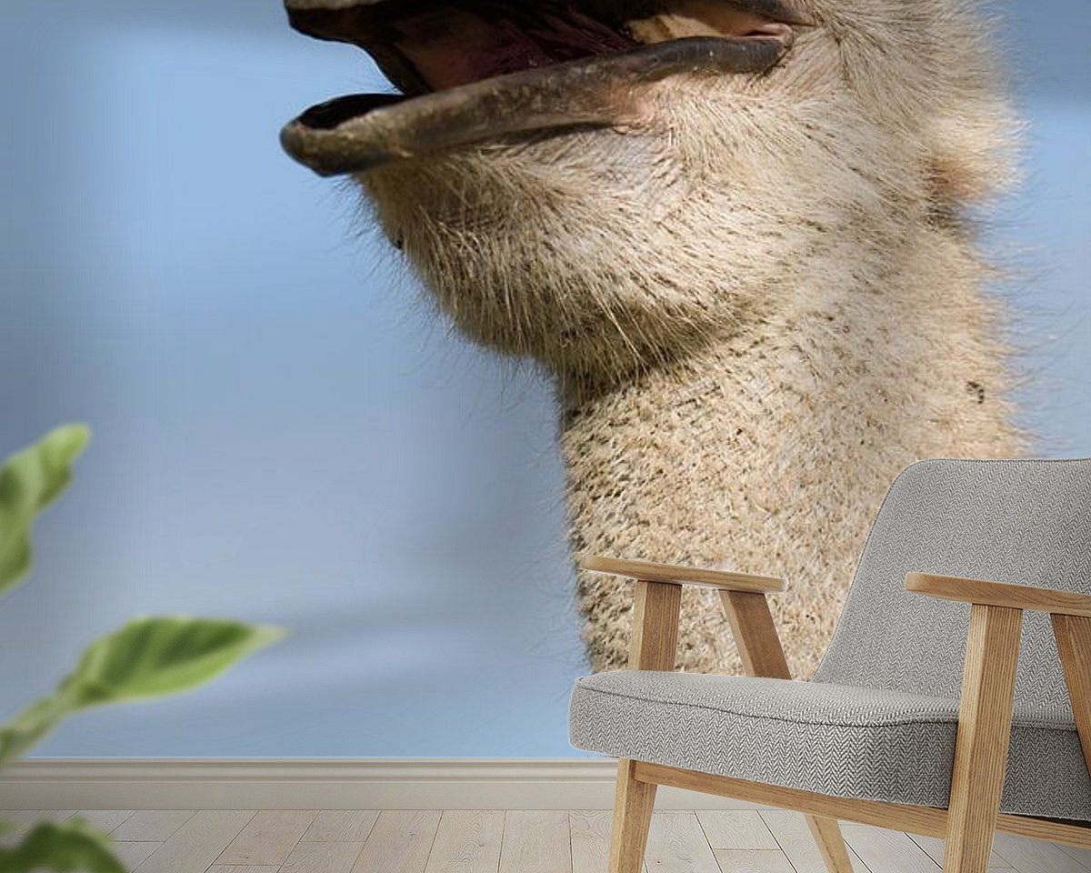 Raumvorschau