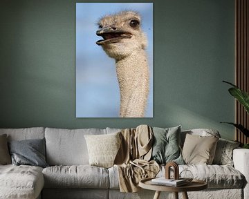 Struisvogel portret van Rick van der Weijde