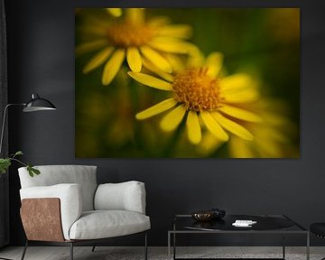 Yellow flower in spring
