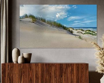 dune beach sea