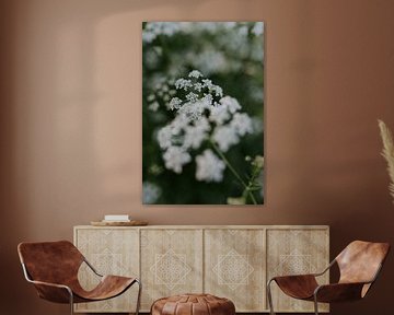 Flöten | Naturfotografie | Grün | Fine Art Print von Alblasfotografie